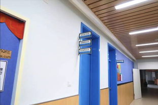 學校食堂食品安全引關注，官方回應 涉事蔬菜霉變，校長被免職