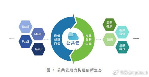 人工智能時代 公共云如何驅動數智化轉型與人工智能應用軟件開發